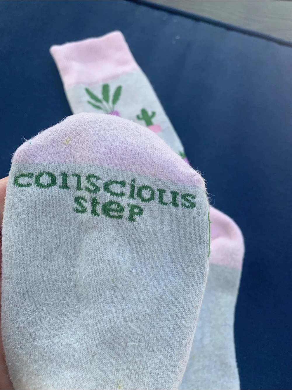 Happy Houseplants socks - free add on